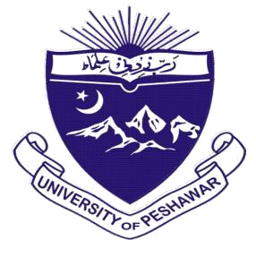 Owl Image