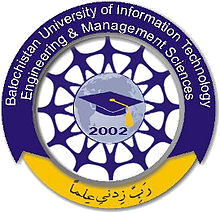 Owl Image