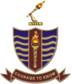 Owl Image