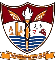 Owl Image